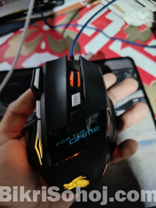 RGB lighting Mouse